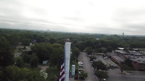 Falcon Perched Atop an American Flagpole · Orbit