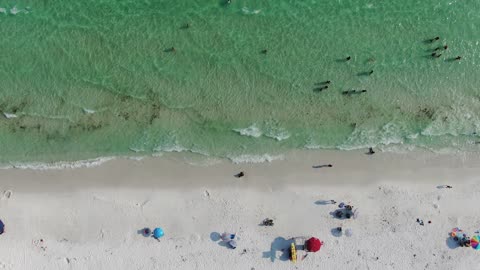 White Sand Beach and Turquoise Water · Sweeping Pan