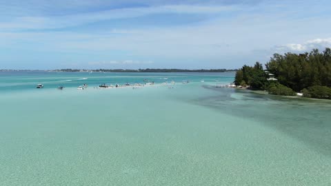 Turquoise Shallows and a Mangrove Island · Flyover