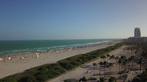 Sandy Beach and Ocean Coastline with Palm Trees