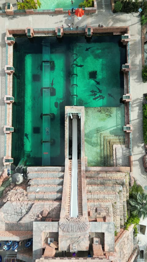 Resort Pool Complex and Lagoons · Top-Down