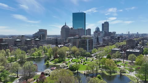 Downtown Skyline and Tree-Lined Streets · Flyover