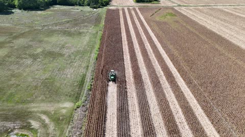 Combine Harvesting Corn Rows, Kansas Farm