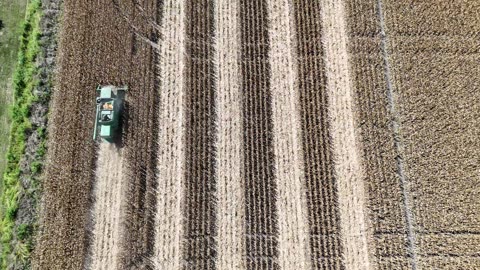 Harvest Fields Divided by a Country Road