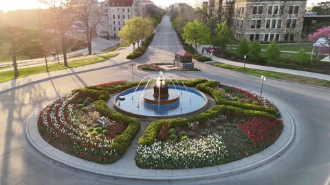KU Campus Along Jayhawk Boulevard at Sunrise