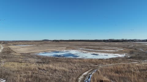 Ice and Marsh Channels at the Frozen Baker Wetlands