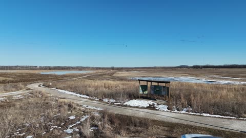 Birds Over the Frozen Baker Wetlands in Winter